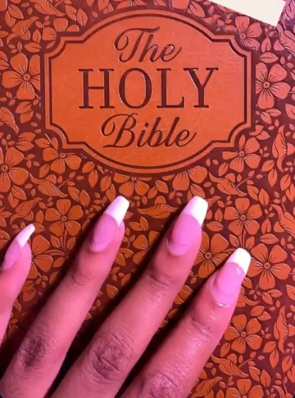 Inside My Bible Collection